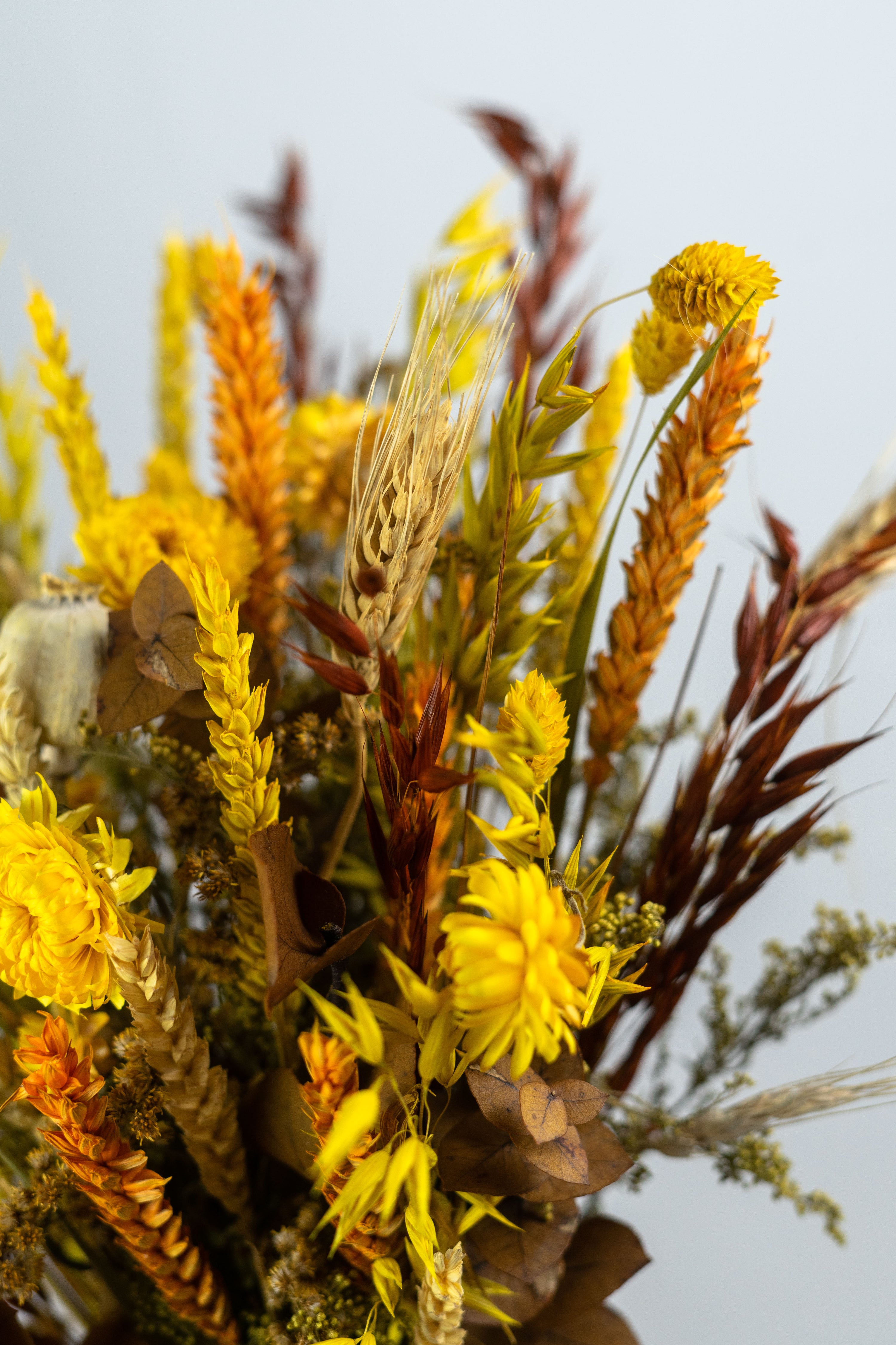 RAMO SILVESTRE CON FLORES PRESERVADAS Y SECAS